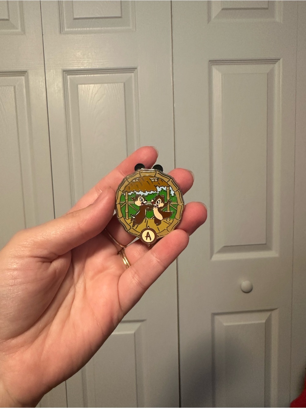 Chip & Dale Adventureland Pin